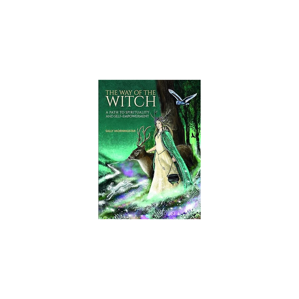 Way of the Witch (inbunden, english) Morningstar Sally