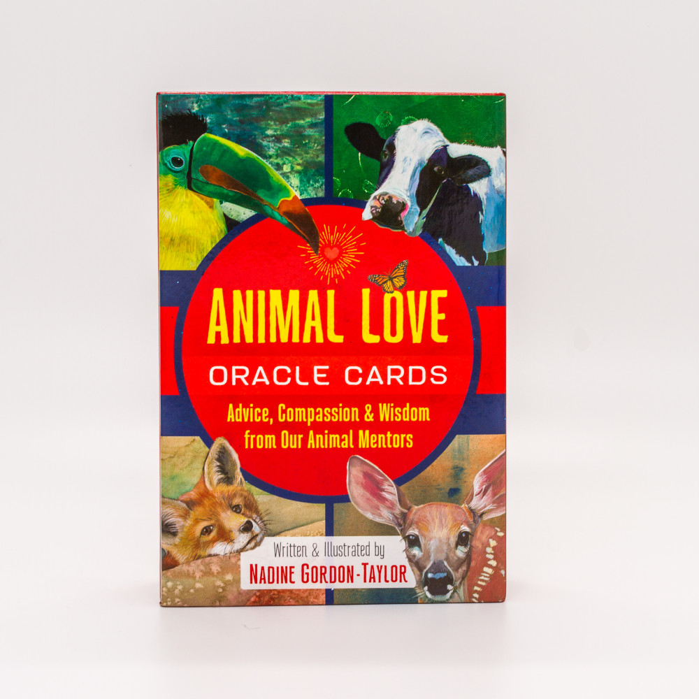Animal Love Oracle Cards Nadine Gordon-Taylor