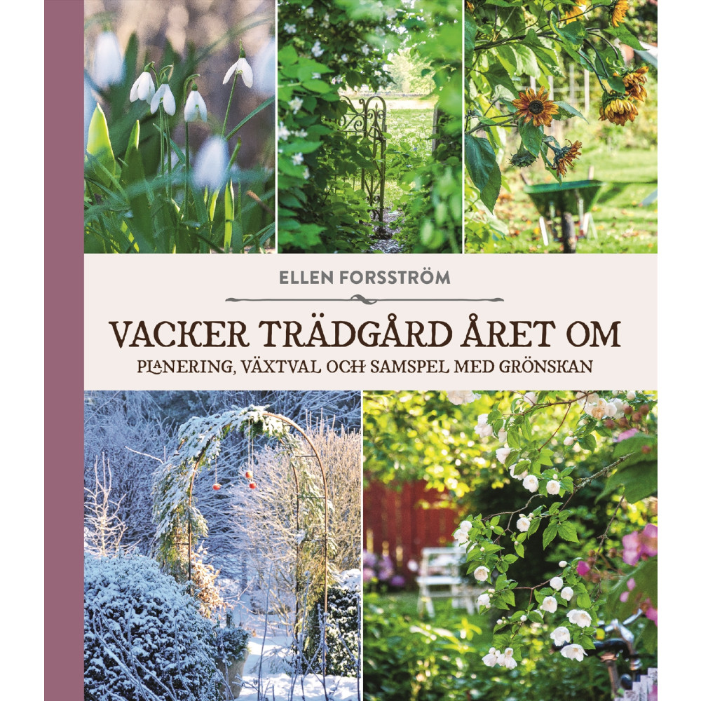 Vacker trädgård året om : planering, växtval och samspel med grönskan (inbunden) Ellen Forsström