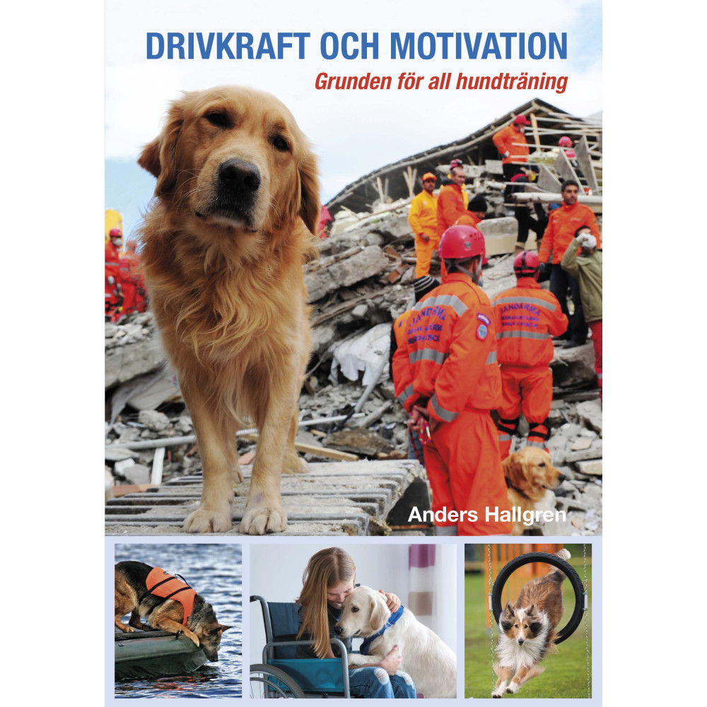 Drivkraft och motivation : grunden för all hundträning (inbunden) Anders Hallgren