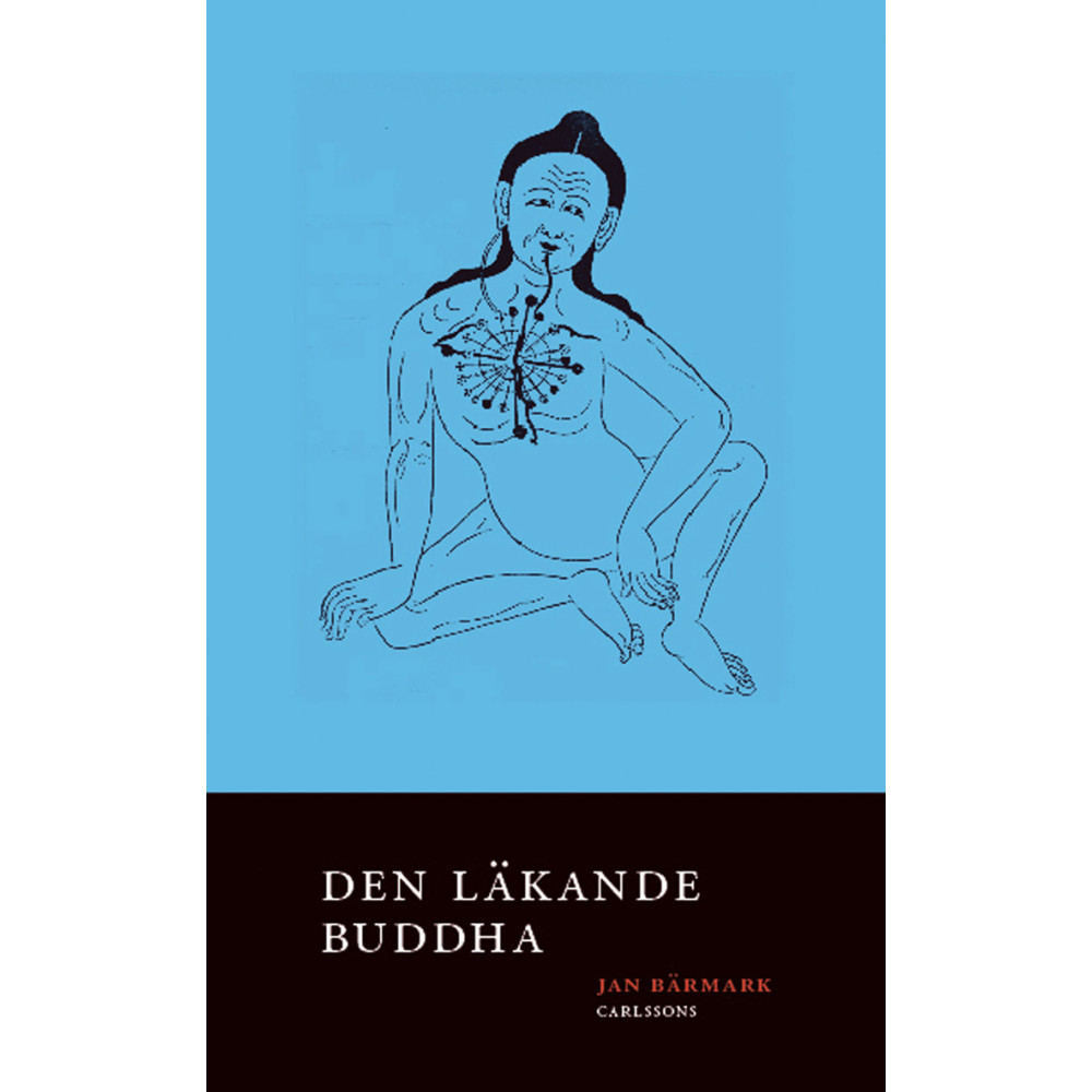 Den läkande Buddha (inbunden) Jan Bärmark