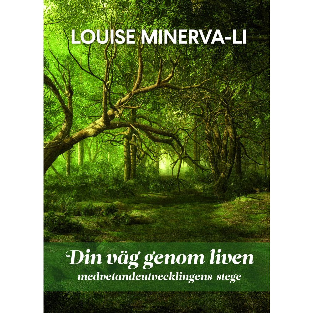 Din väg genom liven - medvetandeutvecklingens stege (inbunden) Louise Minerva-Li