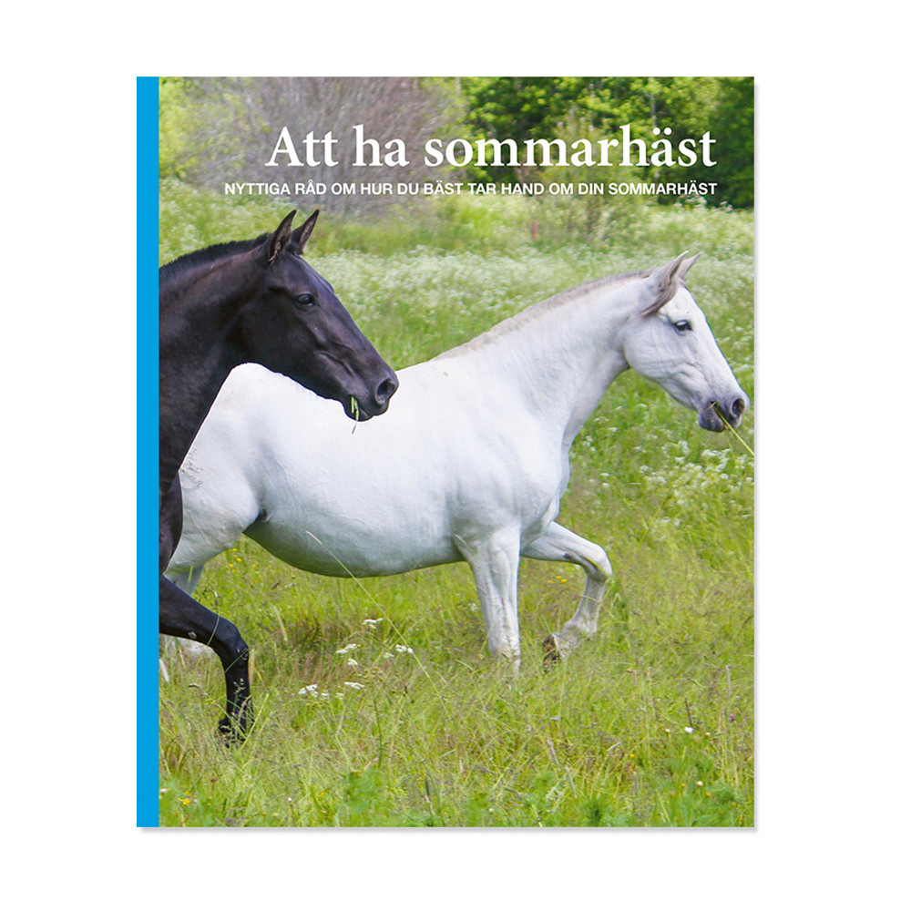 Att ha sommarhäst (häftad) Ann Svärding