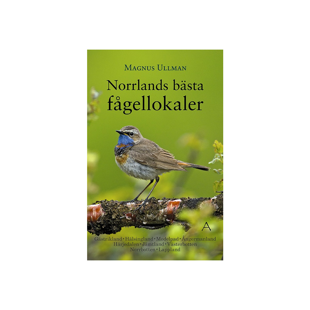 Norrlands bästa fågellokaler (bok, flexband) Magnus Ullman