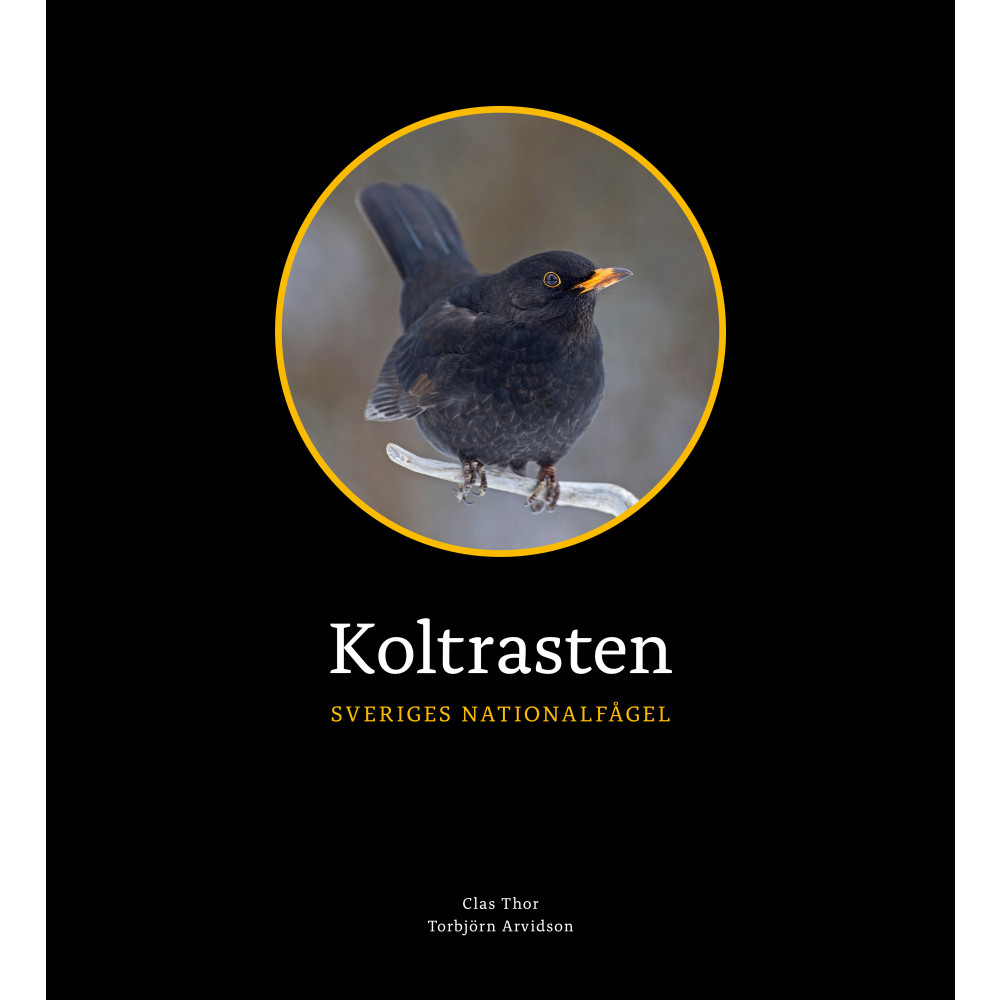 Koltrasten : Sveriges Nationalfågel (inbunden) Clas Thor