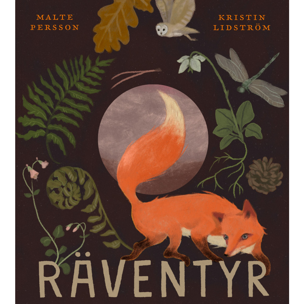 Räventyr (inbunden) Malte Persson