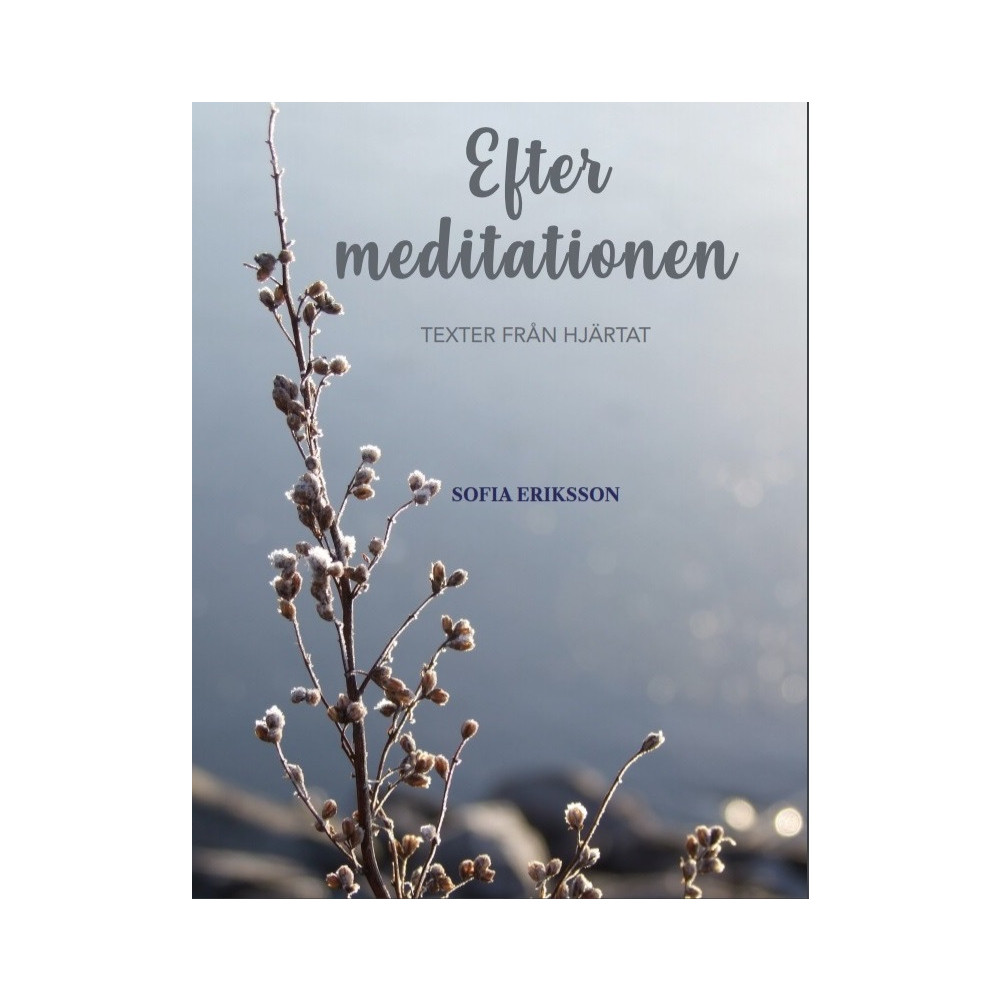 Efter meditationen: texter från hjärtat (bok, kartonnage) Sofia Eriksson