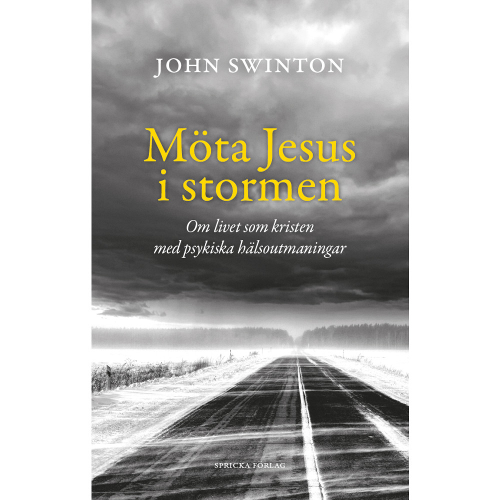 Möta Jesus i stormen : om livet som kristen med psykiska hälsoutmaningar (häftad) John Swinton