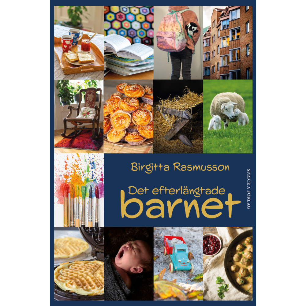 Det efterlängtade barnet (inbunden) Birgitta Rasmusson