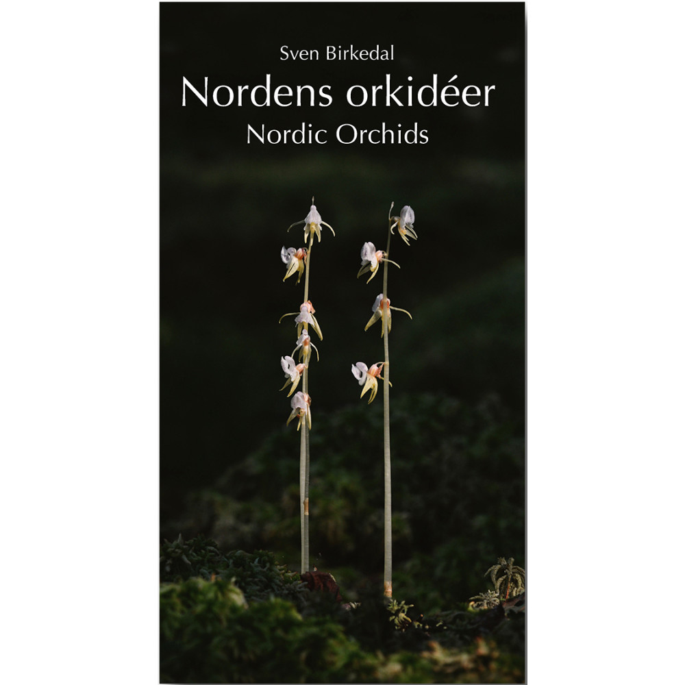 Nordens orkidéer : en fältguide / Nordic Orchids : a field guide (inbunden)