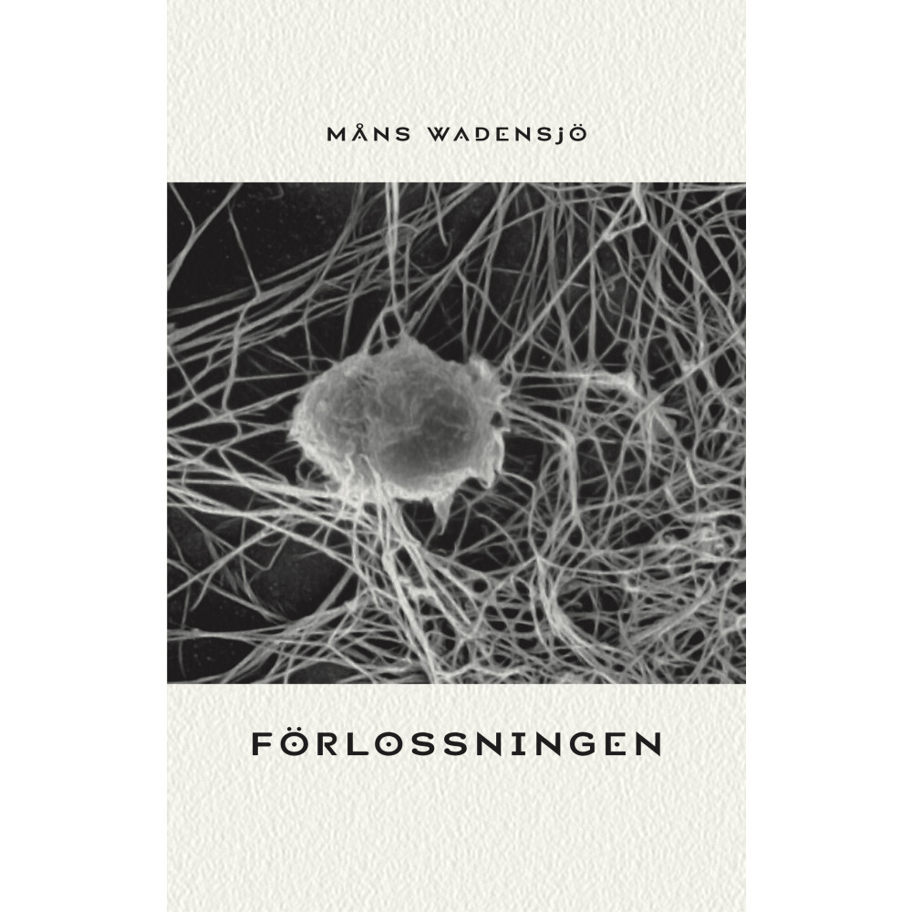 Förlossningen (häftad) Måns Wadensjö
