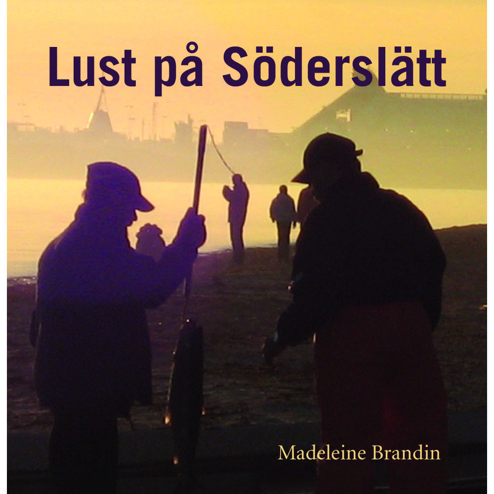 Lust på Söderslätt (bok, danskt band)