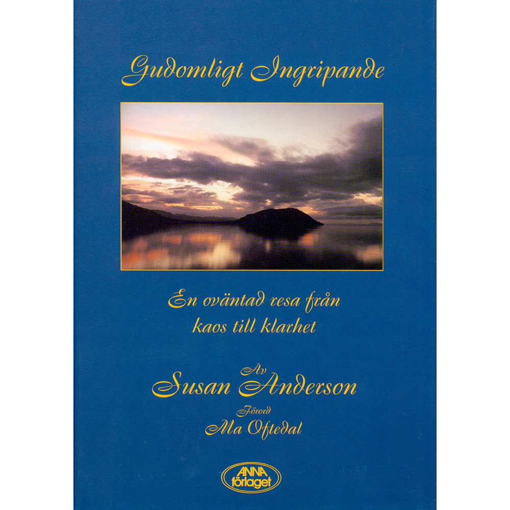 Gudomligt ingripande : en oväntad resa från kaos till klarhet (inbunden) Susan Anderson