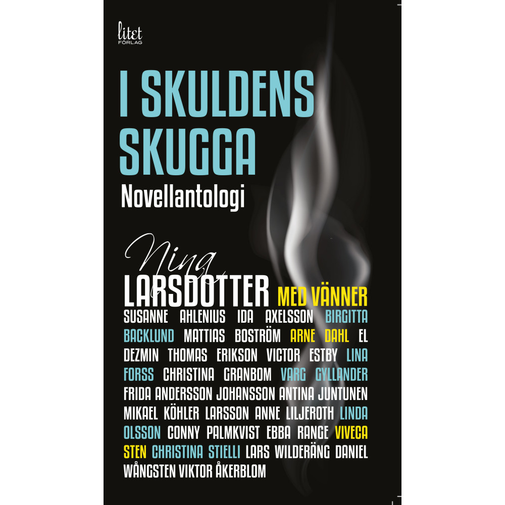 I skuldens skugga (häftad) Nina Larsdotter