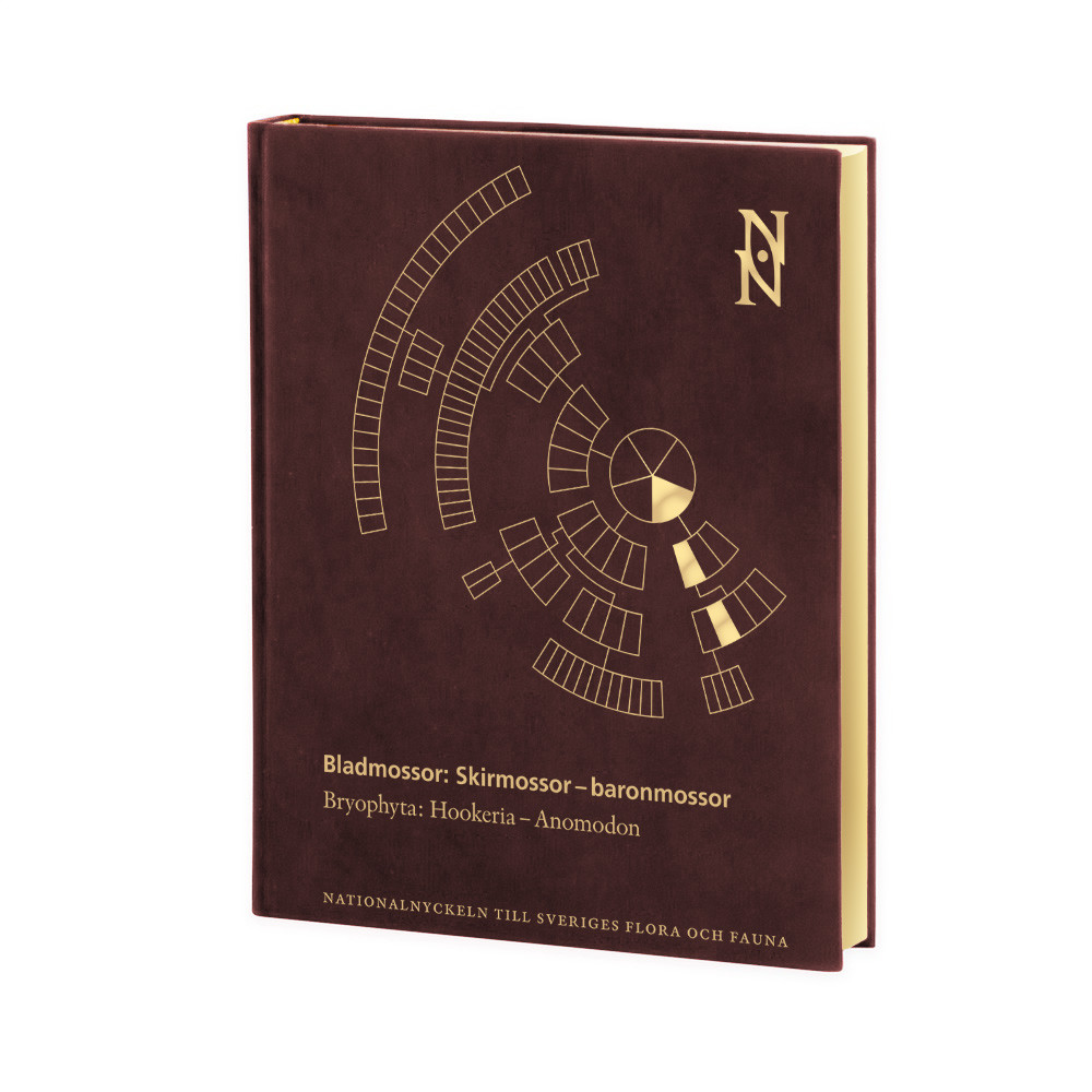 Bladmossor : skirmossor - baronmossor. Bryophyta : hookeria - anomodon (bok, halvfranskt)