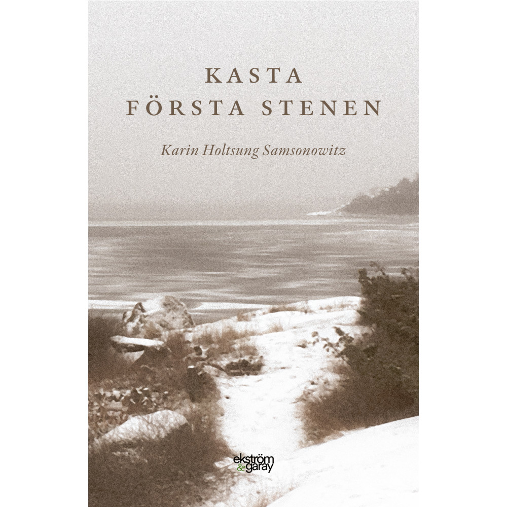 Kasta första stenen (inbunden) Karin Holtsung Samsonowitz