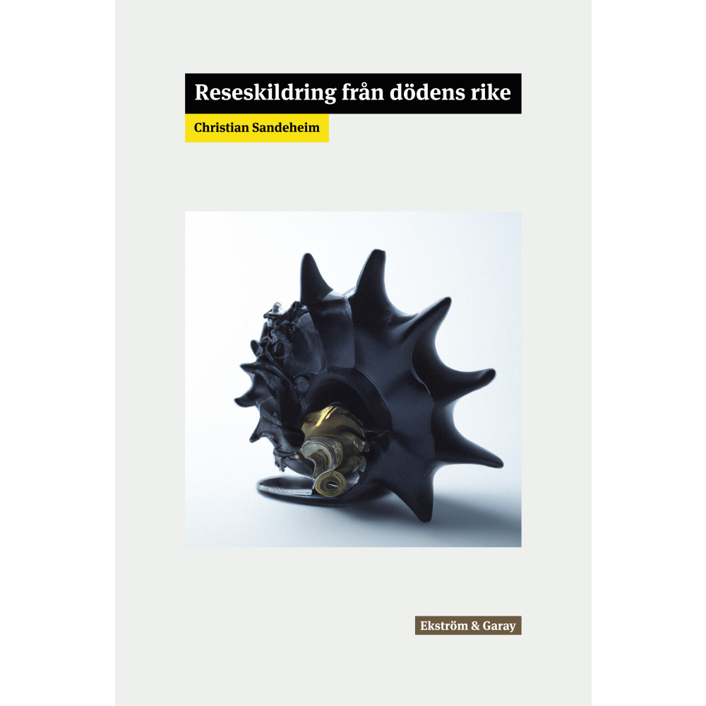 Reseskildring från dödens rike (inbunden) Christian Sandeheim