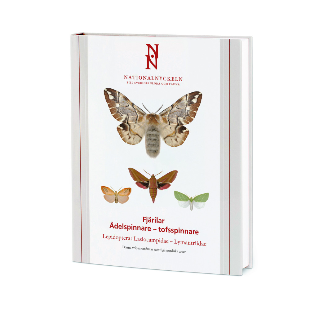 Fjärilar : ädelspinnare - tofsspinnare. Lepidoptera : lasiocampidae - lymantriidae (inbunden) Nils Hydén