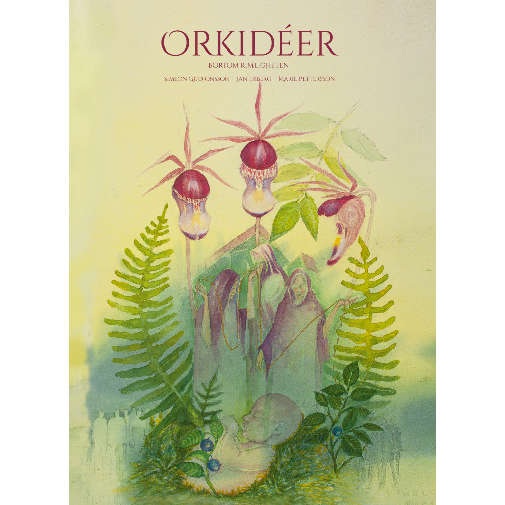 Orkidéer - bortom rimligheten (inbunden) Simeon Gudjonsson