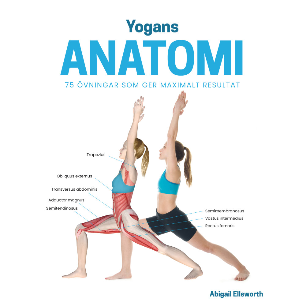 Yogans anatomi : 75 övningar som ger maximalt resultat (bok, flexband) Abigail Ellsworth