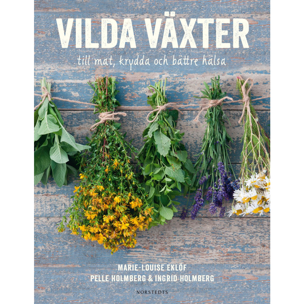 Vilda växter : till mat, krydda och bättre hälsa (bok, flexband) Ingrid Holmberg