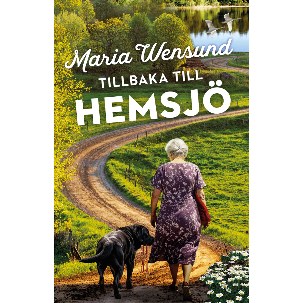 Tillbaka till Hemsjö (pocket) Maria Wensund