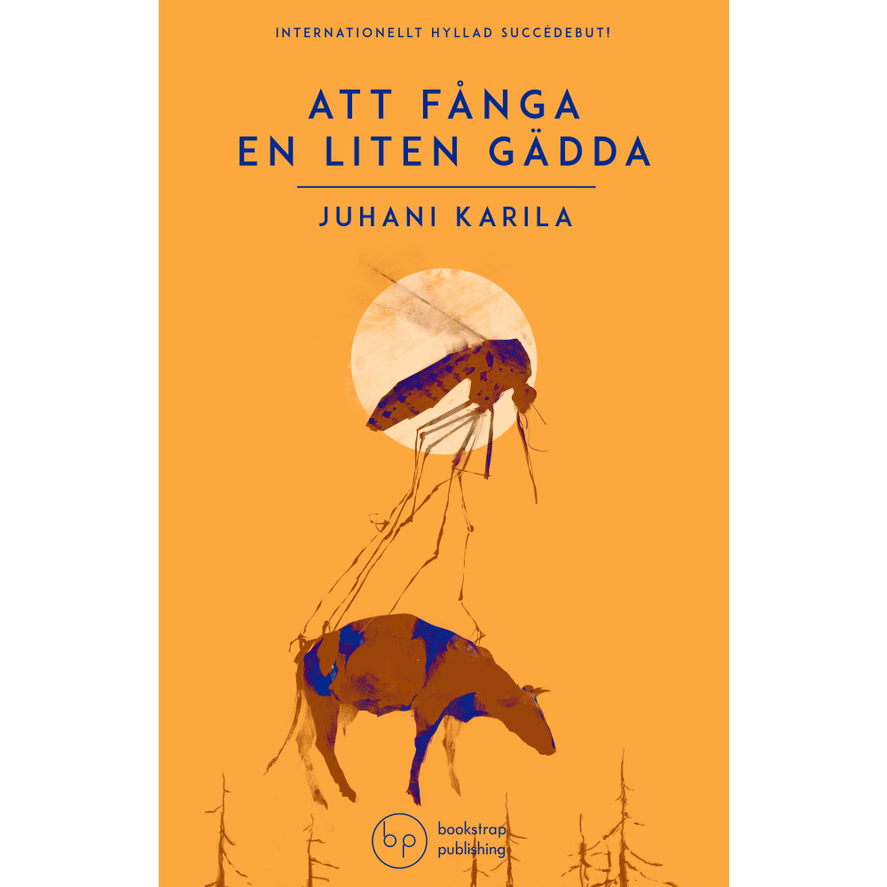 Att fånga en liten gädda (inbunden) Juhani Karila