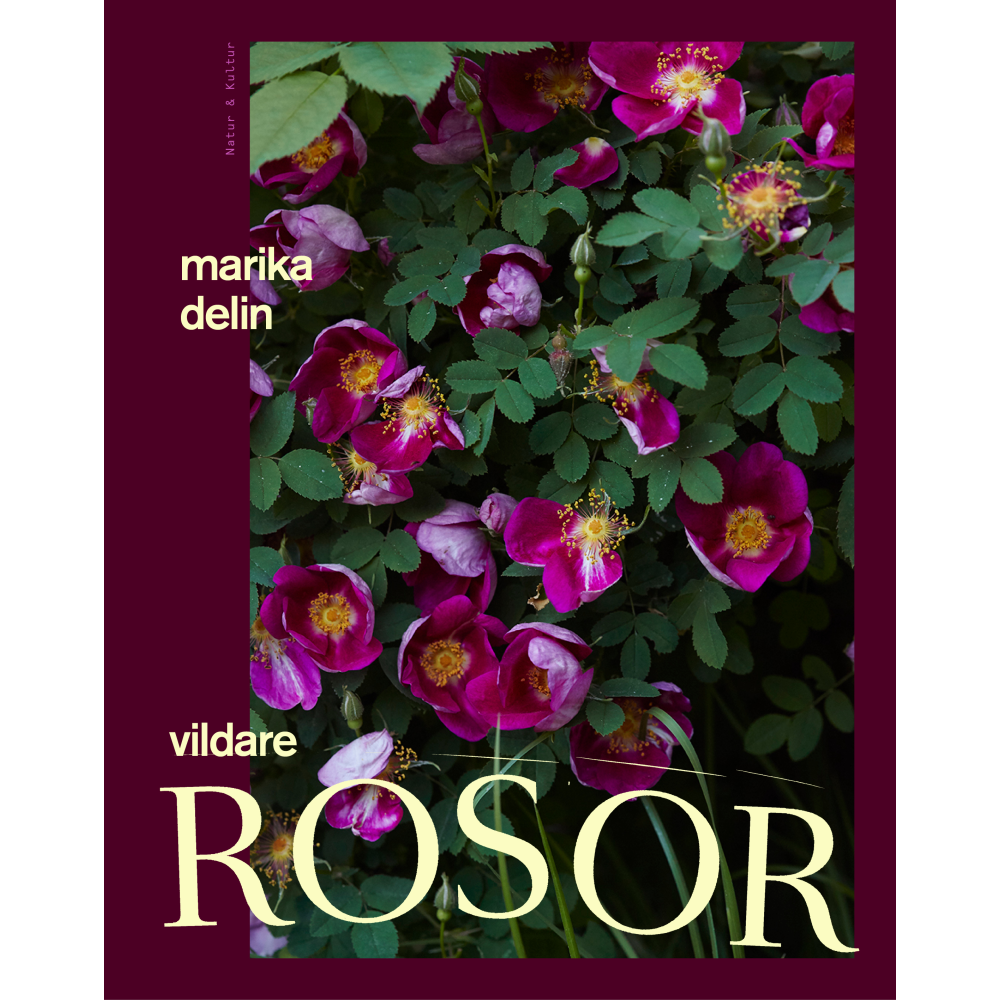 Vildare rosor (inbunden)