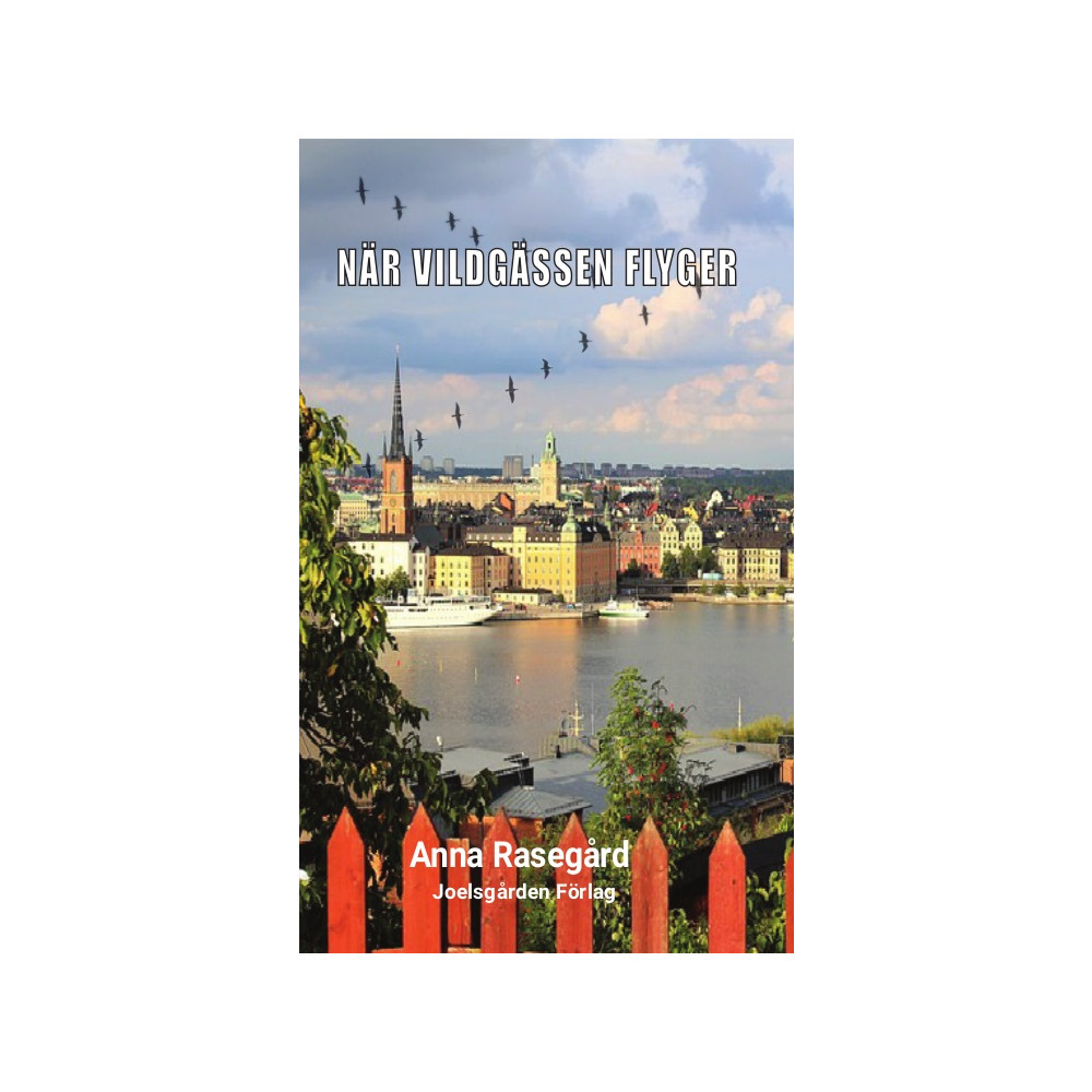 När vildgässen flyger (häftad) Anna Rasegård