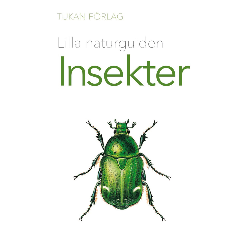 Lilla naturguiden : Insekter (häftad) Tukan Förlag