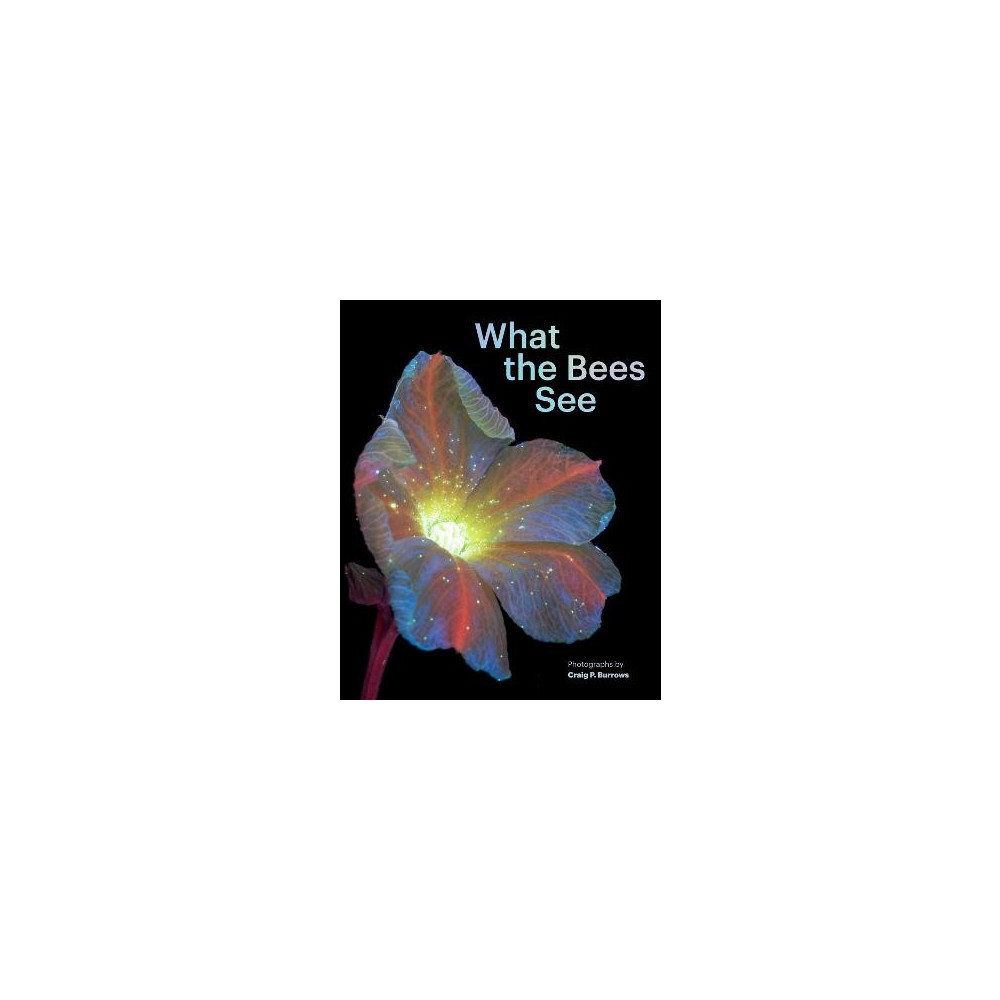 What the Bees See (inbunden, eng)