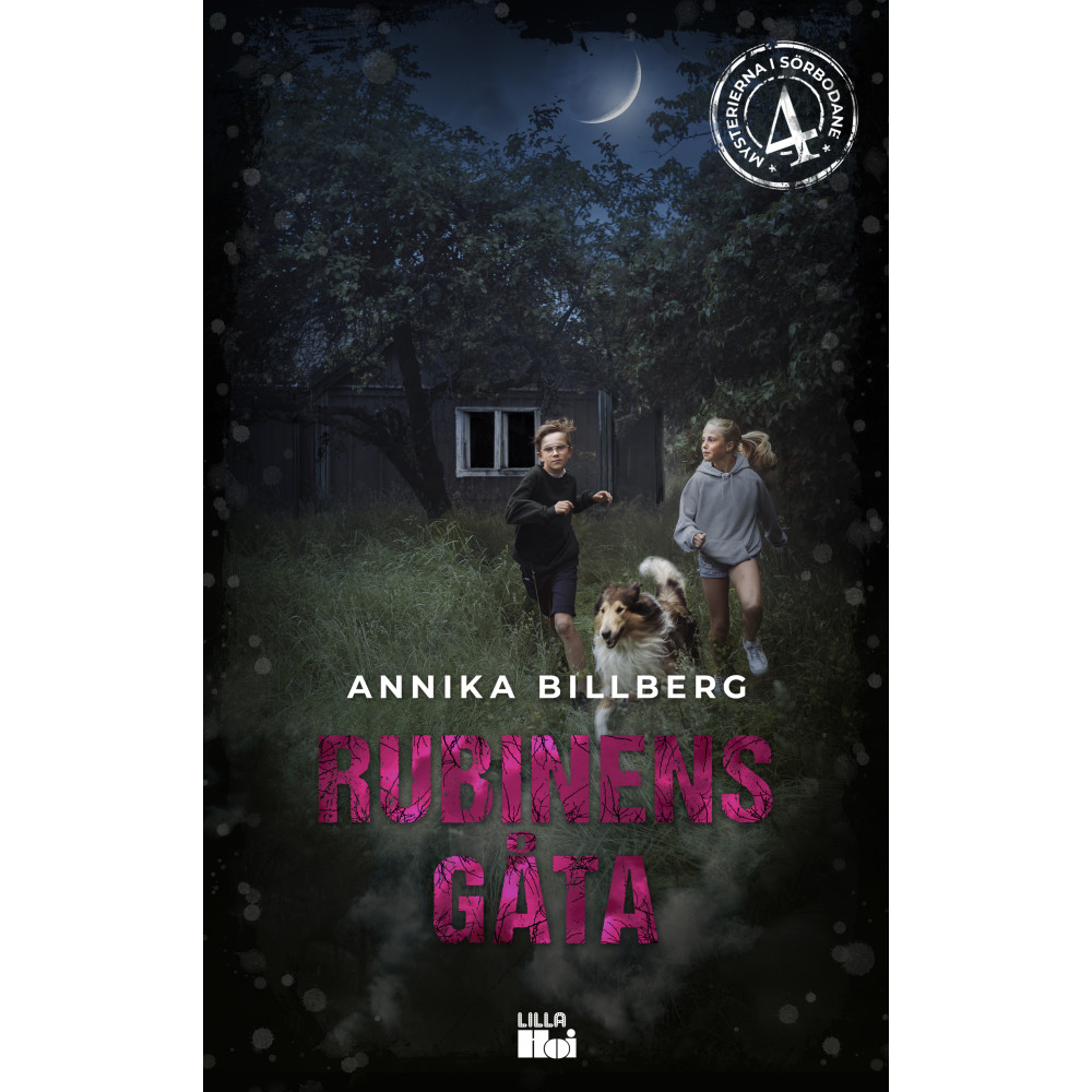 Rubinens gåta (bok, kartonnage) Annika Billberg