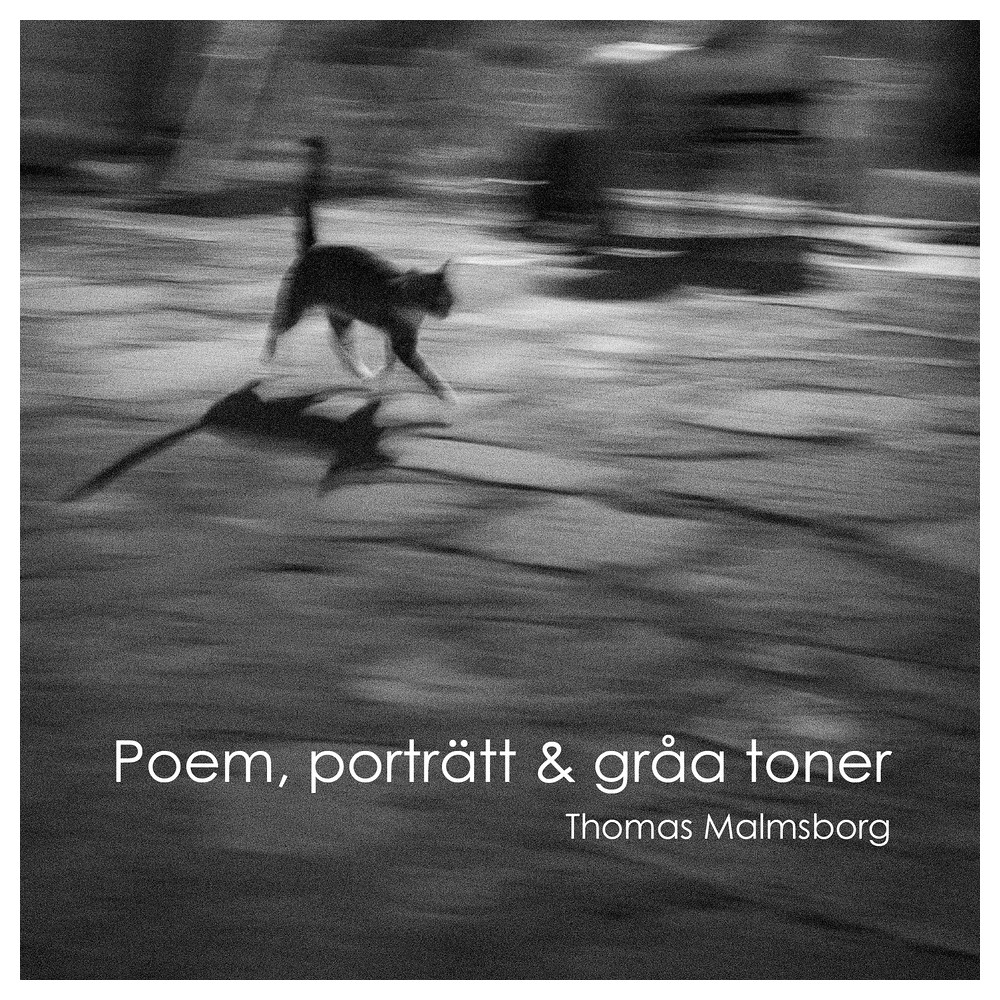 Poem, porträtt & gråa toner (inbunden) Thomas Malmsborg