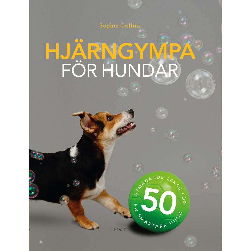 Hjärngympa för hundar : 50 utmanande lekar för en smartare hund (inbunden) Sophie Collins