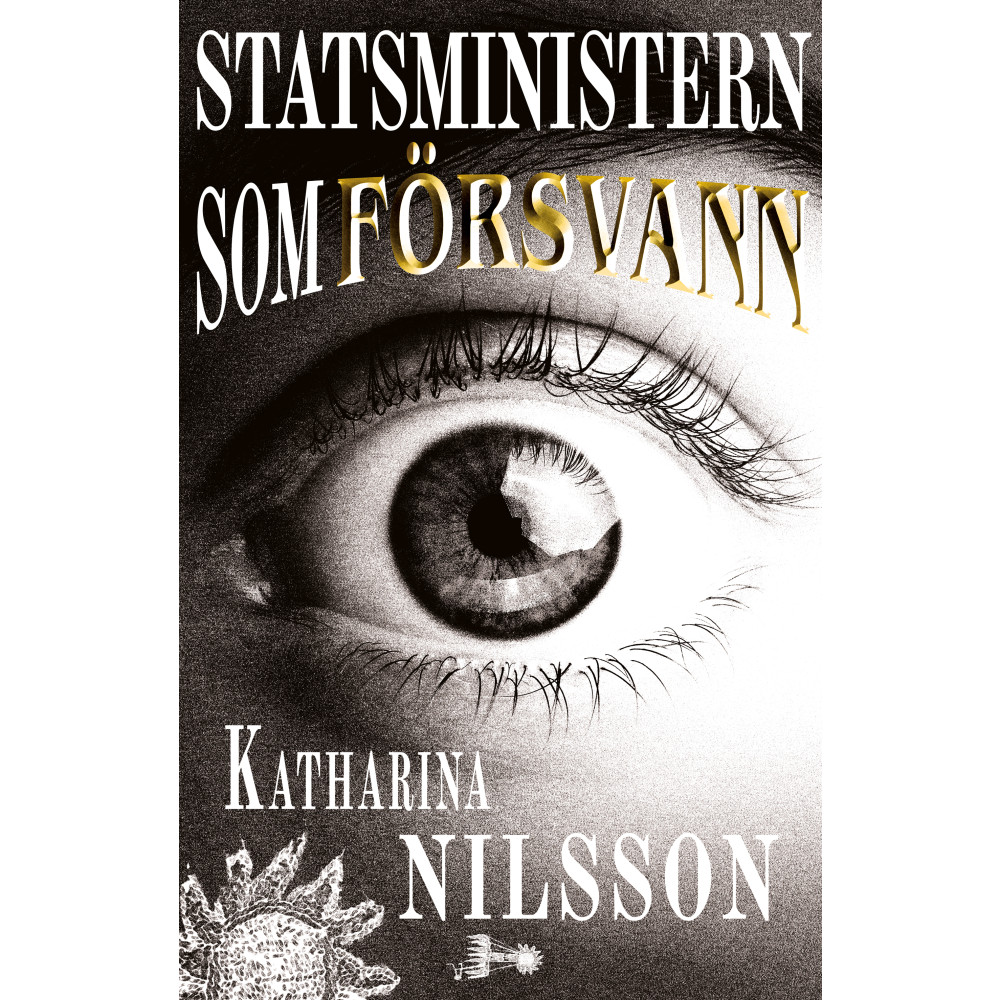 Statsministern som försvann (bok, storpocket) Katharina Nilsson
