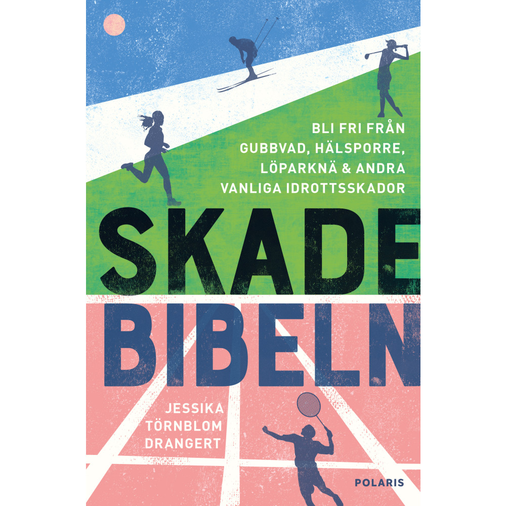 Skadebibeln (inbunden) Bokförlaget Polaris