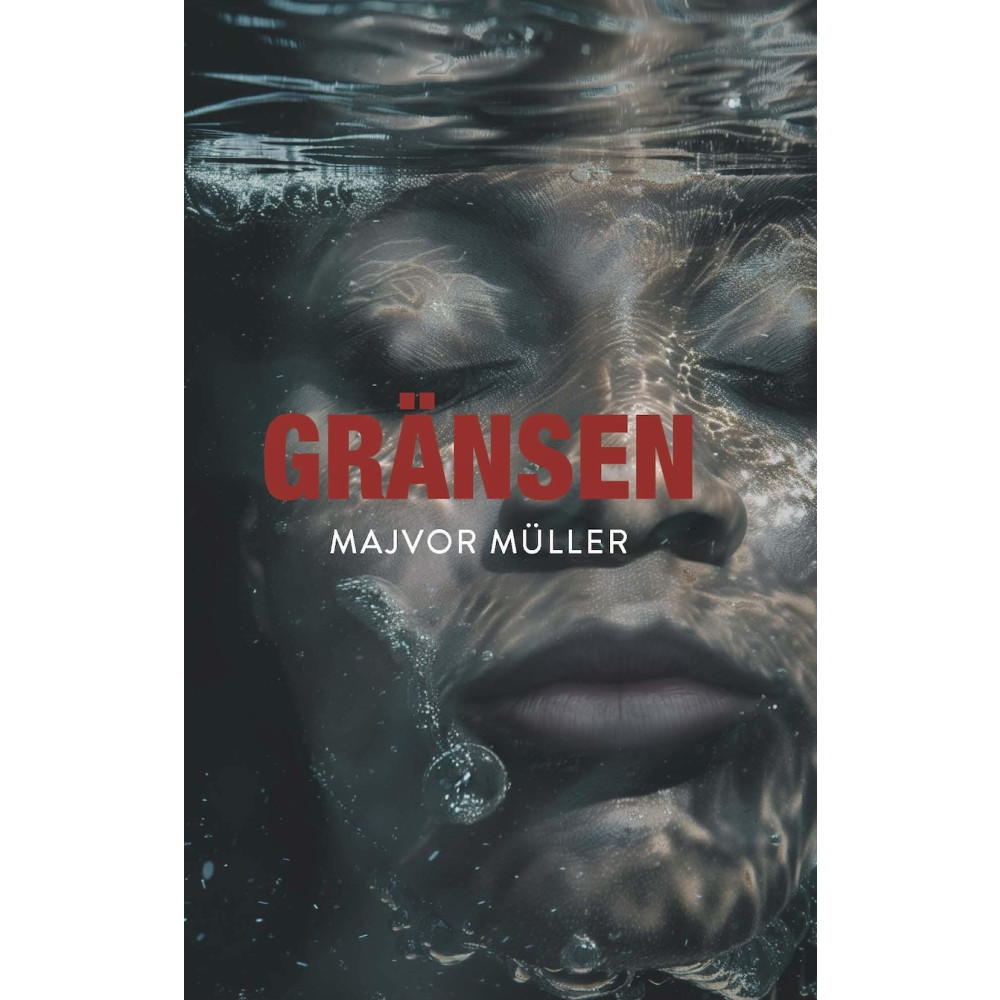 Gränsen (inbunden) Majvor Müller