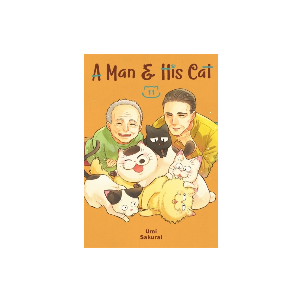 A Man And His Cat 11 (pocket, english) Umi Sakurai
