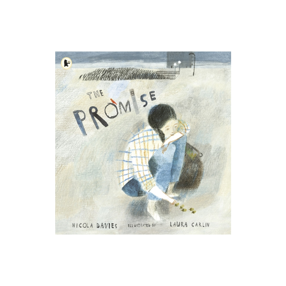 The Promise (häftad, english) Walker Books Ltd