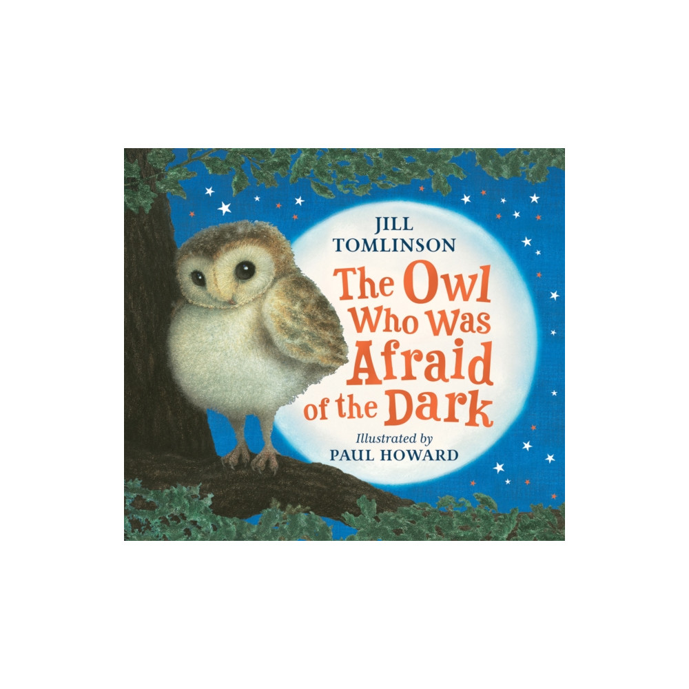 The Owl Who Was Afraid of the Dark (häftad, english) HarperCollins Publishers