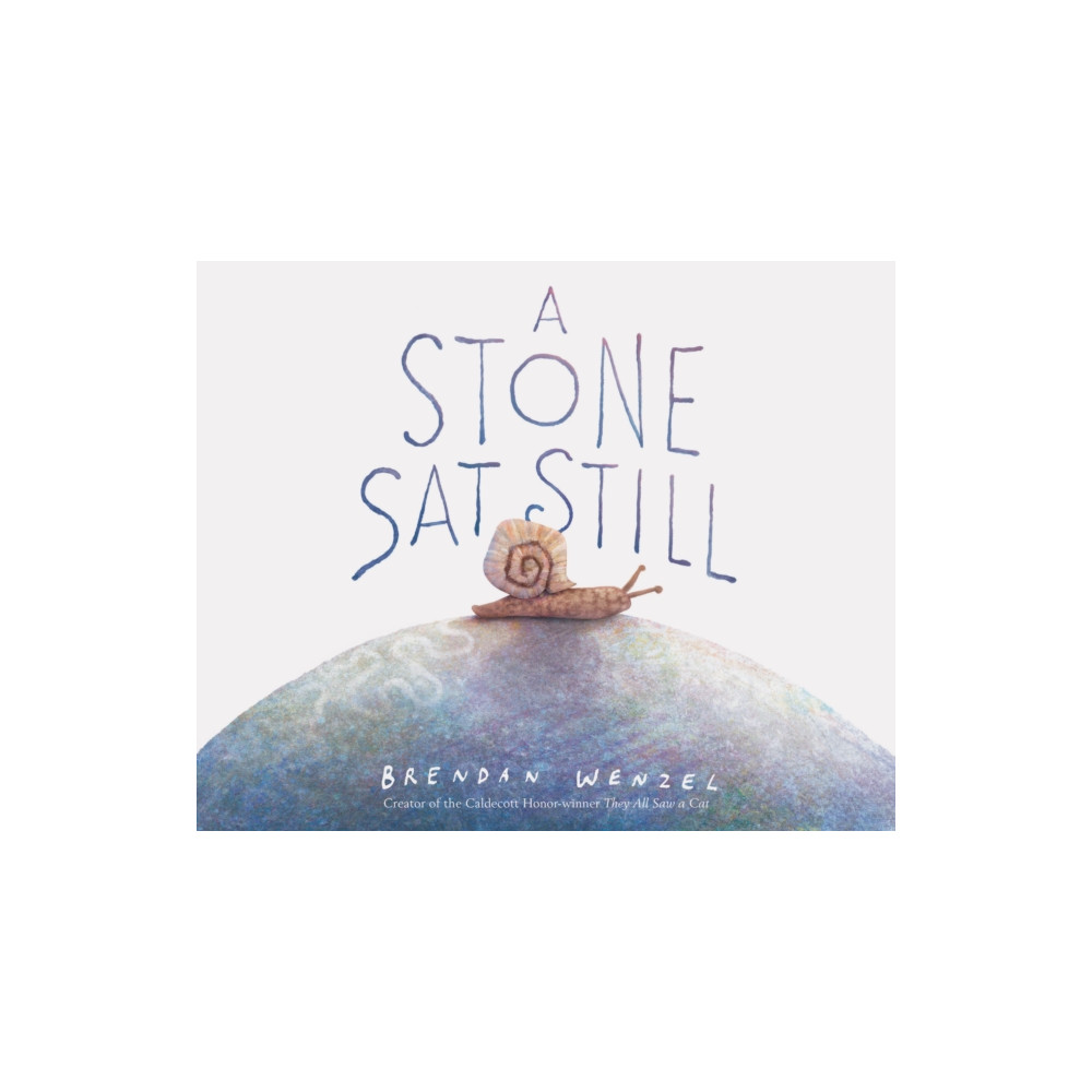 A Stone Sat Still (inbunden, english) Chronicle Books