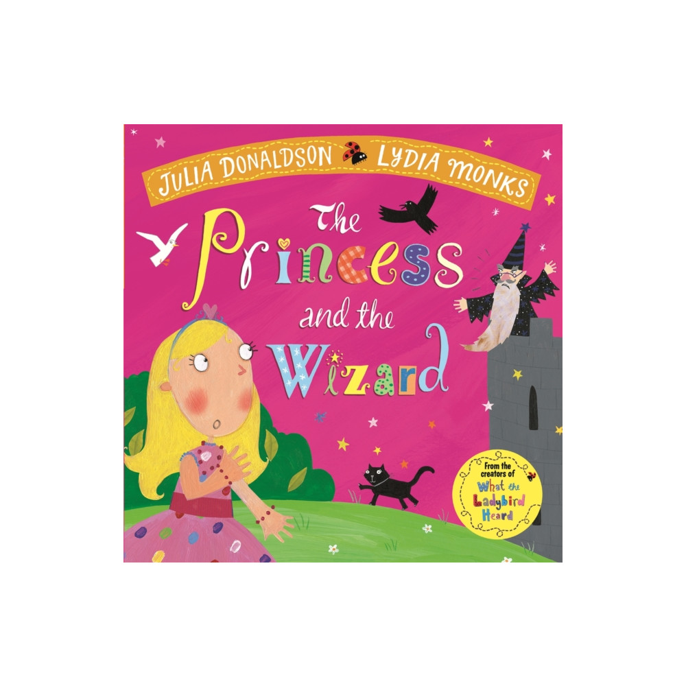 The Princess and the Wizard (häftad, english) Pan Macmillan