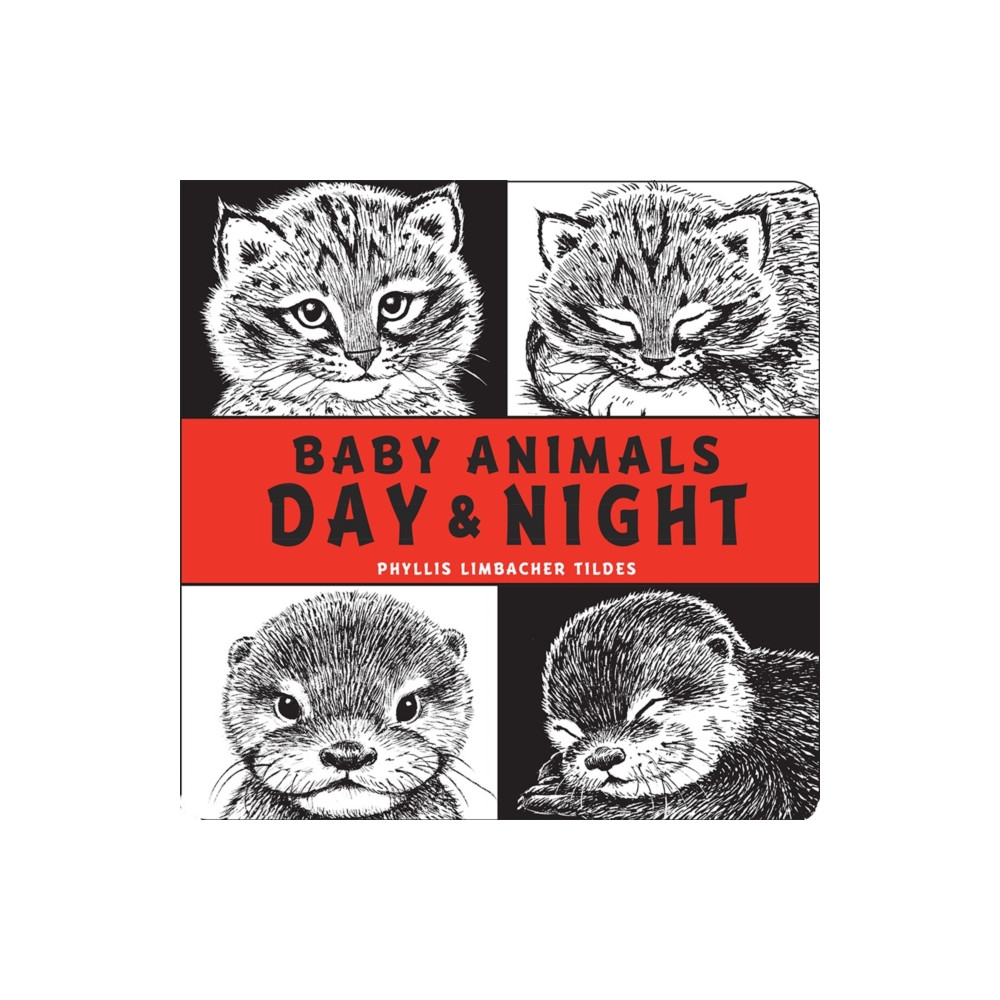 Baby Animals Day & Night (bok, board book, english) Charlesbridge Publishing,U.S.