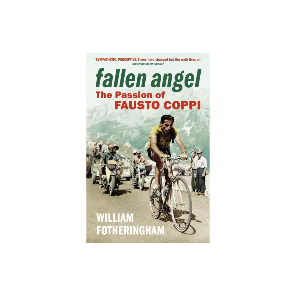 Fallen Angel (häftad, english) Vintage Publishing