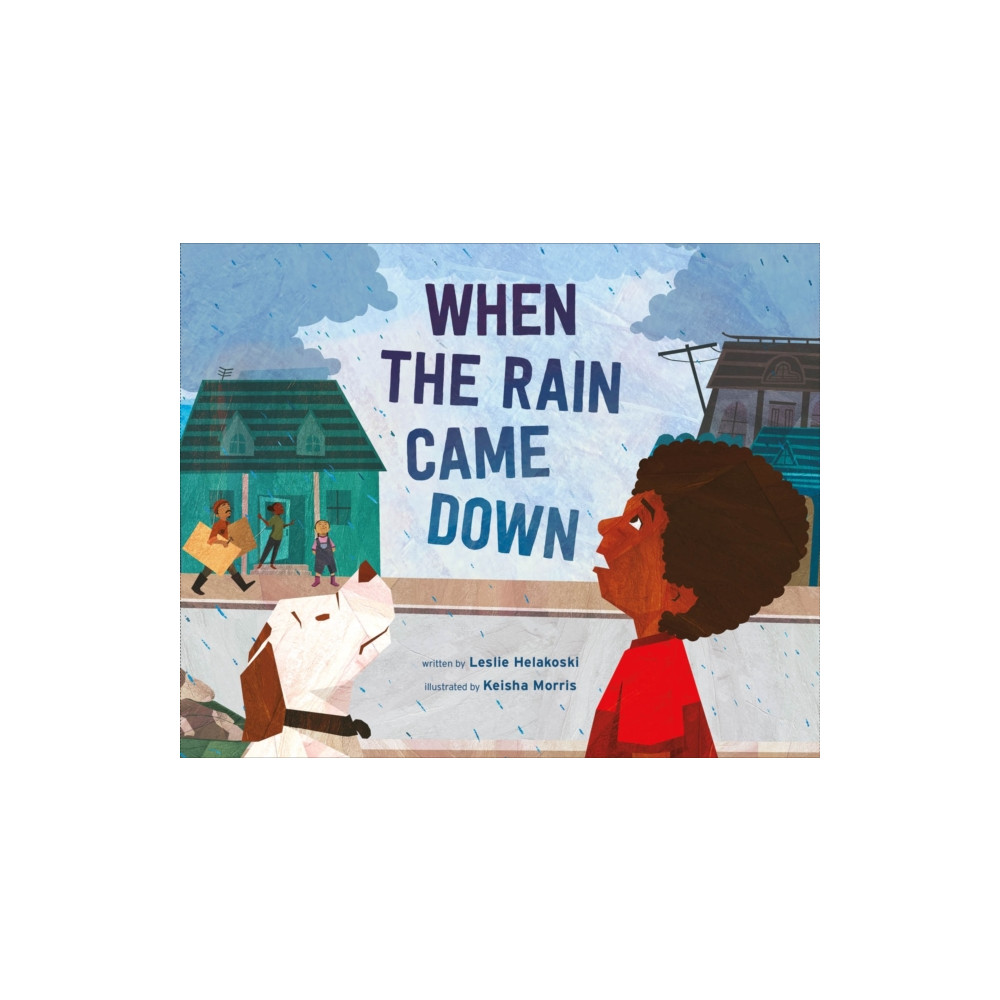 When the Rain Came Down (inbunden, english) Farrar, Straus & Giroux Inc