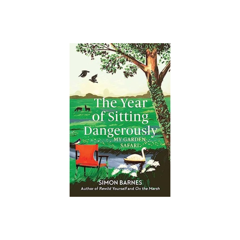 The Year of Sitting Dangerously (häftad, eng)