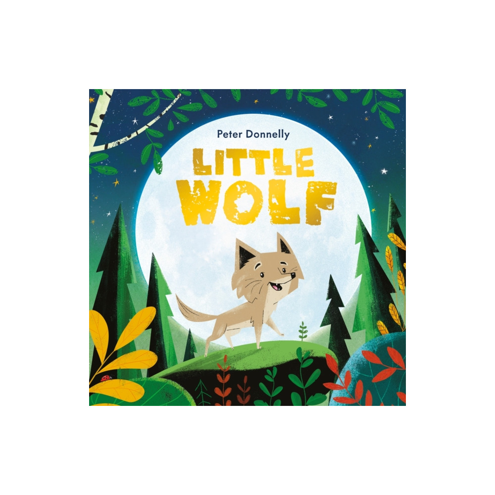 Hachette Children's Group Little Wolf (häftad, eng)