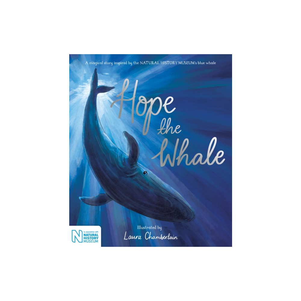 Hope the Whale (häftad, english) Pan Macmillan