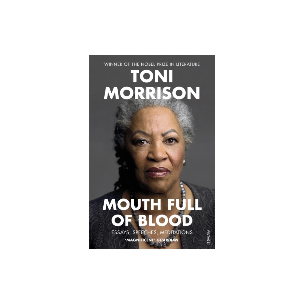 Mouth Full of Blood (häftad, english) Vintage Publishing