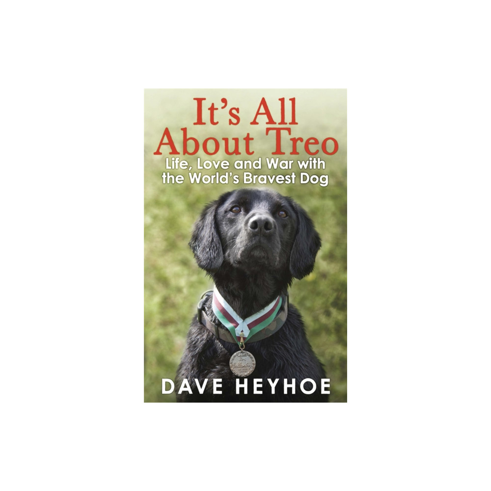 It's All About Treo (häftad, english) Quercus Publishing